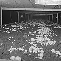 Ex-oesterkwekers in Yerseke halen de eerste champignons binnen, de champignons i, Bestanddeelnr 916-0730.jpg
