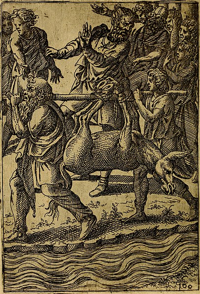 File:Fabvlae centvm ex antiqvis avctoribvs delectae et a Gabriele Faerno Cremonensi carminibvs explicatae (1564) (14747657654).jpg