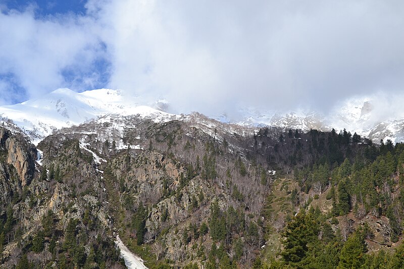 File:Fairy Meadows and Nanga Parbat 15.JPG