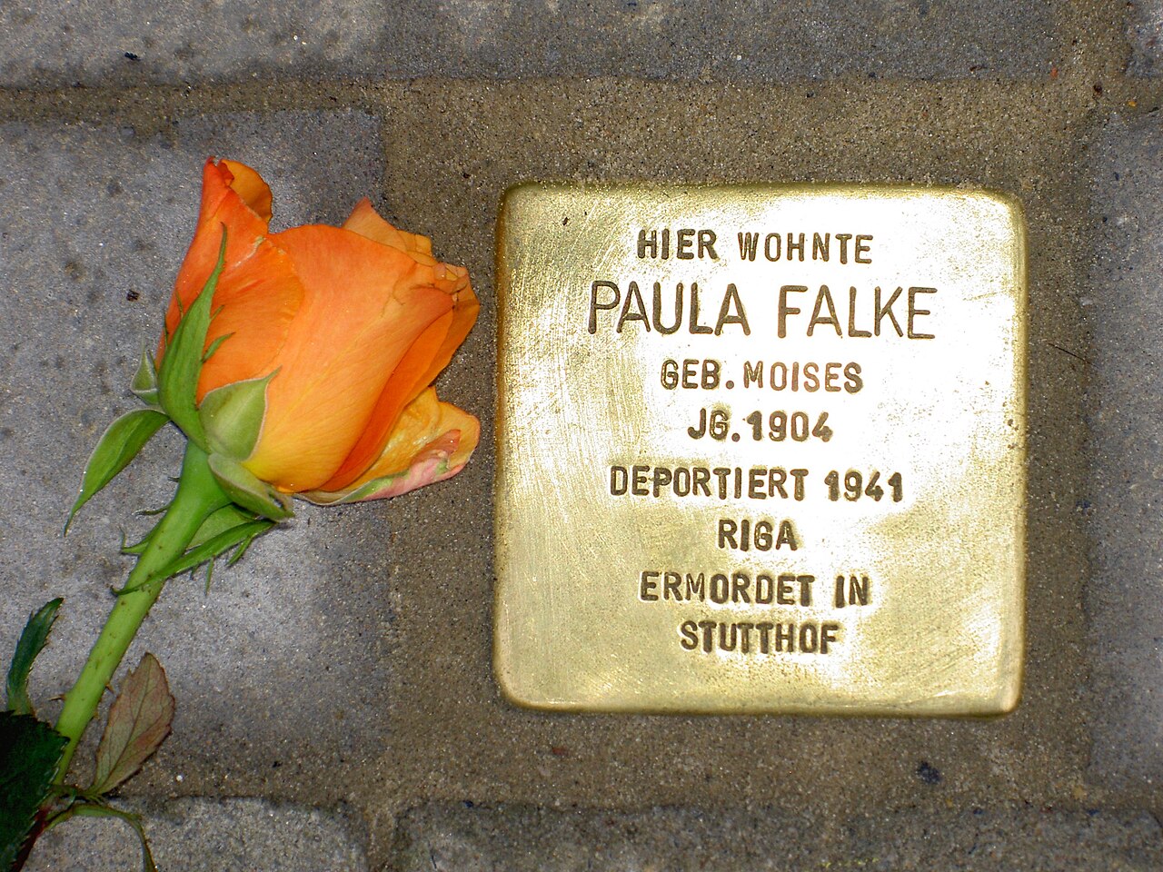 Falke, Paula.jpg