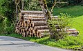 * Nomination Woodpile at a forest in Mattersdorf,, Feldkirchen, Carinthia, Austria -- Johann Jaritz 01:55, 12 May 2023 (UTC) * Promotion Good quality. --Jacek Halicki 02:40, 12 May 2023 (UTC)