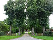 Zufahrtsallee aus Birnbäumen