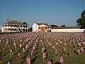 Field of US Flags with buildings in back ground (908fbf81-a8be-49ce-b3d9-157472f03fef).JPG