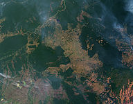 Fires and deforestation in the state of Rondônia