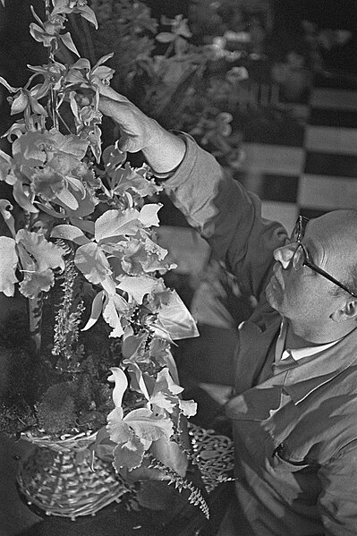 File:Flowershop te Haarlem levert elf bloemstukken voor het huwelijk van de Sjah, de , Bestanddeelnr 910-8835.jpg