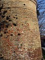 Italiano: La torre degli Ansaldi, Fontanile