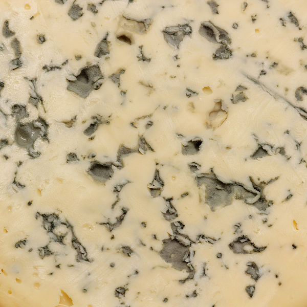 File:Fourme d'Ambert 05.jpg