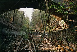 Gleisreste der Bahnstrecke Berlin-Wannsee–Stahnsdorf in Höhe des Königswegs