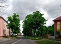 Friedrich-Naumann-Straße in Torgau