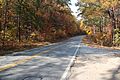 File:GA SR 60 in Lumpkin County, Oct 2016.jpg