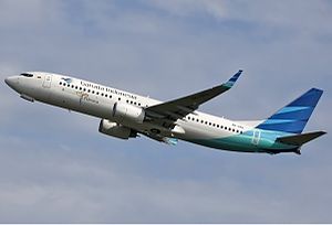 Garuda Indonesia Boeing 737-800 Spijkers-1.jpg