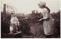 Girl taking a photo of a Fox Terrier