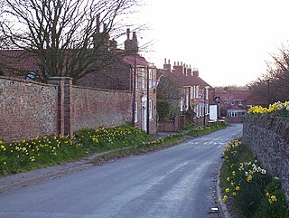 <span class="mw-page-title-main">Goodmanham</span> Village and civil parish in the East Riding of Yorkshire, England