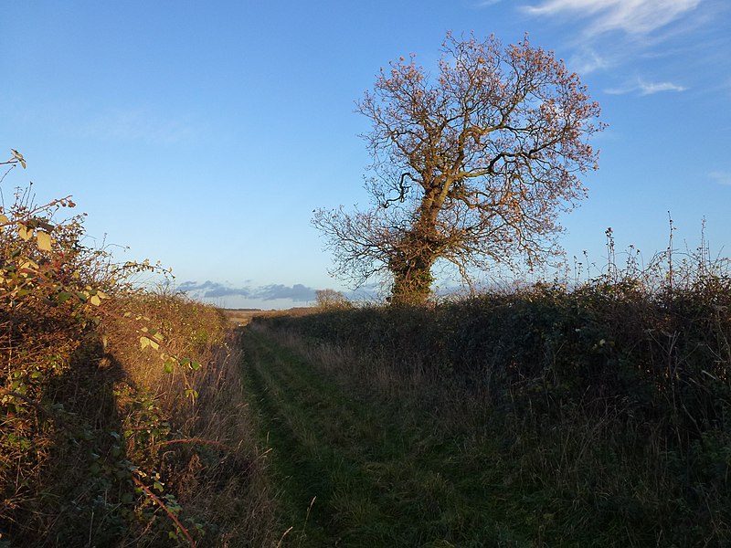 File:Green lane to Burnham Thorpe - geograph.org.uk - 3762722.jpg