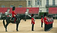 Guards horse having a pee during practicing for trooping the colour (13869294593).jpg