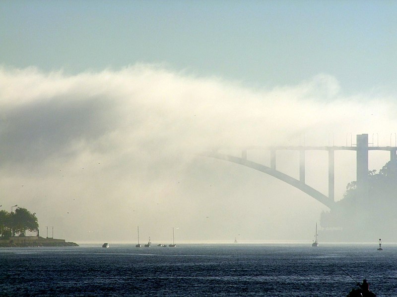 File:Há um Prenúncio de Morte - harbinger of death - panoramio.jpg