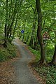 Čeština: Cyklostezka "Po stopách českých králů" nedaleko Hýskova a Zdejciny, Středočeský kraj English: A cyclist path "Po stopách českých králů" (Watching the Czech Kings footprints) near Hýskov and Zdejcina, Central Bohemian Region, CZ