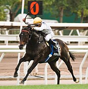 2023年12月10日，「金鎗六十」於沙田馬場勝出當季香港一哩錦標賽事