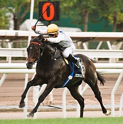 HKIR 20231210 Golden Sixty.jpg