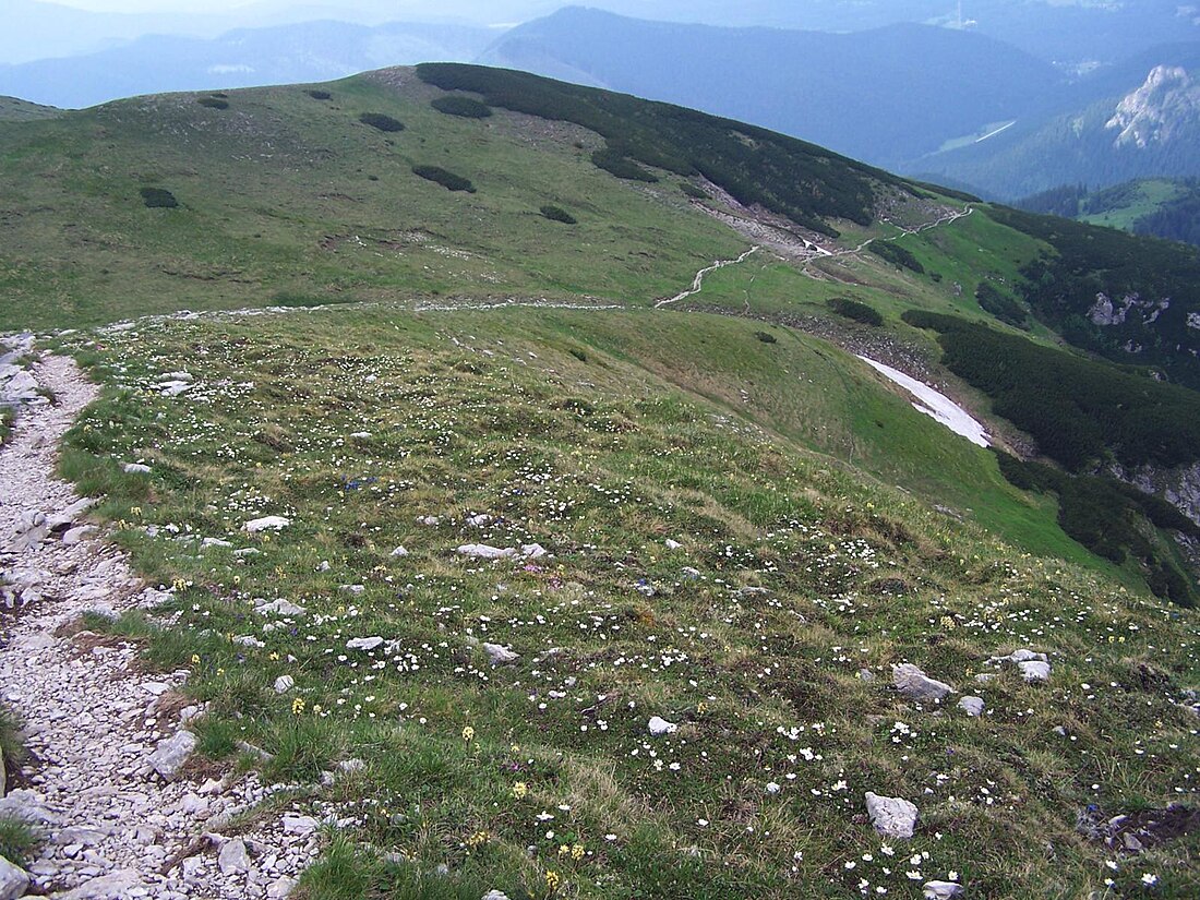 Źródliska (Tatry)