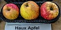 Haux Apfel