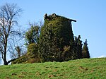 Hekelgem (Affligem) - Nieuwe Molen.jpg