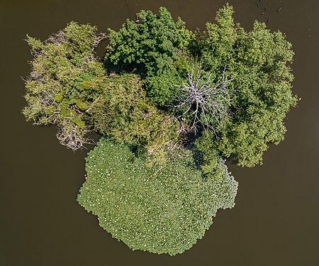 Small island on Juessee in Herzberg am Harz, Lower Saxony