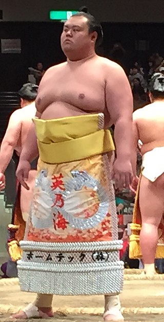 <span class="mw-page-title-main">Hidenoumi Takuya</span> Japanese sumo wrestler