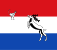 Hindeloopen vlag 1650.svg