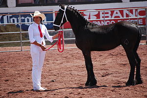 Texcoco De Mora