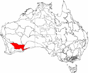 <span class="mw-page-title-main">Coolgardie bioregion</span> Bioregion in Western Australia