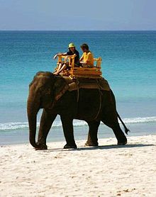 An elephant carrying tourists sitting on a howdah India Tourism Elephant.jpg