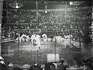 Polar bears performing in the Collinebourg Hippodrome, 1904