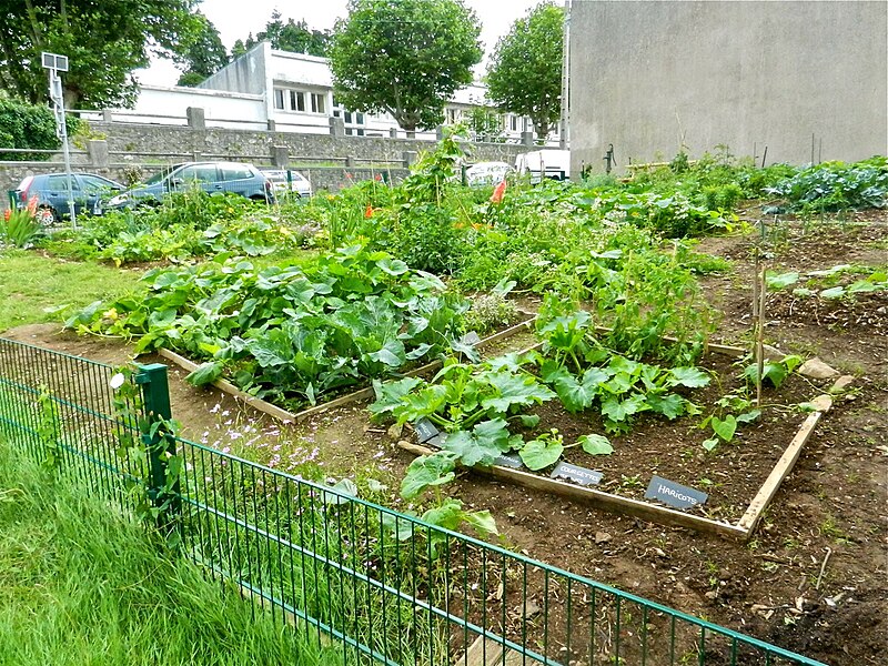 File:Jardin-des-apprentis-jardiniers2 Le-Nôtre-2015-07-30.jpg