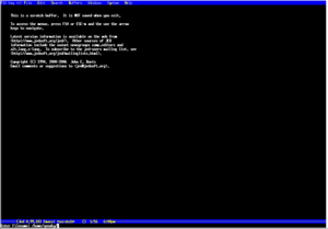 Ein Screenshot von jed Version 0.99.18 / Unix