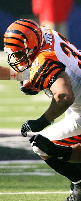 <span class="mw-page-title-main">Jeremi Johnson</span> American football player (born 1980)