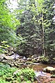 Mountain Trail Stream