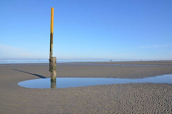 North Sea beach at the end of November 2019.