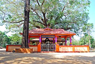 Desamangalam village in Kerala, India