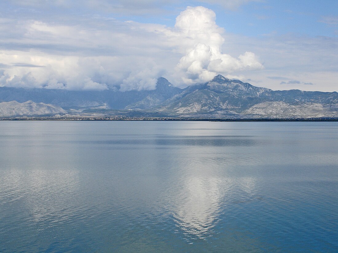 Skadarské jezero