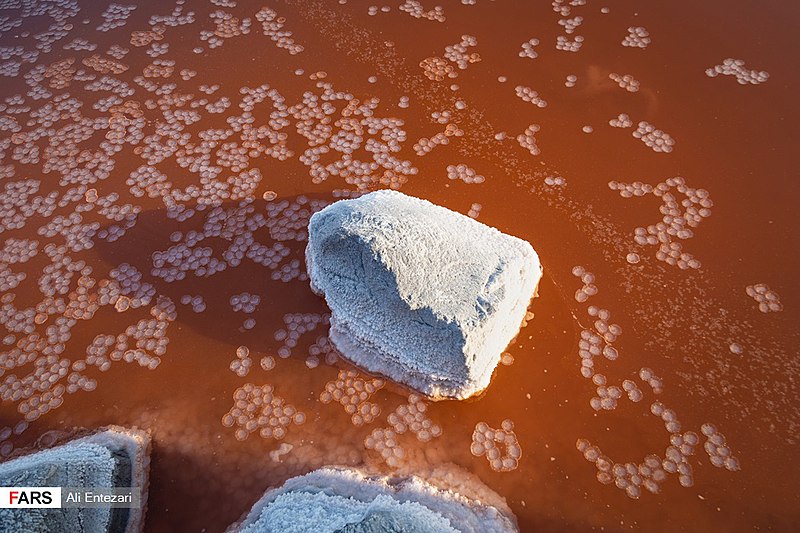 File:Lake Urmia 13970417 18.jpg