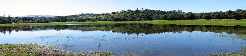 Lake Lagunita in early spring; the Dish is visible in the foothills behind the lake.