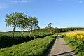 LSG monastery landscape Marienrode