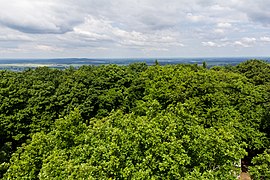 Lěs na Wysočinach, w pozadku Wysoka Dubrawa a Hamorska milinarnja