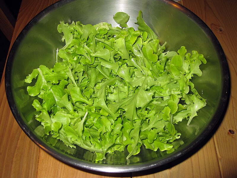 File:Lettuce from our garden (5714897800).jpg