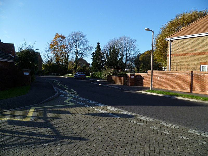 File:Lime Avenue looking west from the school - geograph.org.uk - 2711070.jpg