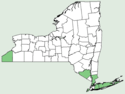 Linum striatum NY-dist-map.png