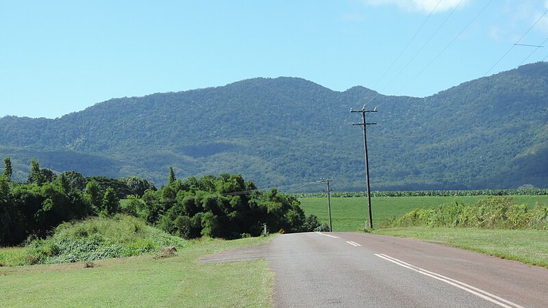 File:Looking east along Greenhill Road over the low-lying farmland with the Malbon Thompson Range rising beyond, Green Hill, 2018.jpg