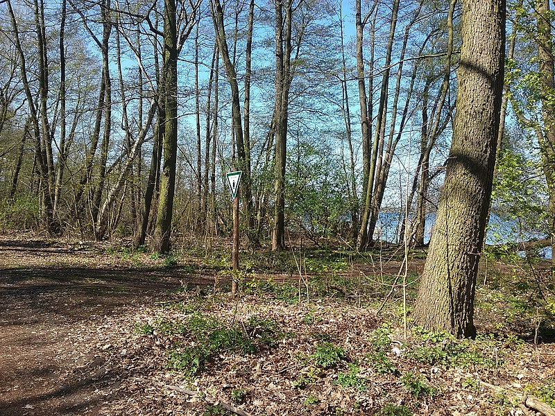 File:Müggelsee-Fredersdorfer Mühlenfließ (13).jpg