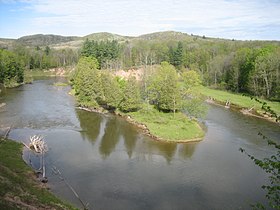 Río Manistee.jpg